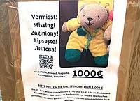 Christof Bock/dpa-Zentralbild/dpa | Ein Plakat zu einer Suchaktion. (Archivbild)