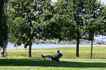 Roberto Pfeil/dpa | Ein Mann hat sich ein schattiges Plätzchen am Ufer des Rheins in Leverkusen gesucht. (Archivbild)