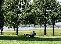 Roberto Pfeil/dpa | Ein Mann hat sich ein schattiges Plätzchen am Ufer des Rheins in Leverkusen gesucht. (Archivbild)