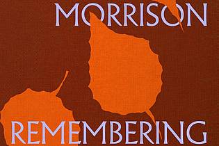 -/Virgin Music/Universal/dpa | Das Cover des Albums «Remembering Now».