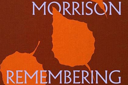 -/Virgin Music/Universal/dpa | Das Cover des Albums «Remembering Now».