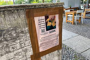 Christof Bock/dpa | 1.000 Euro Finderlohn sind auf Steckbriefen ausgesetzt. (Archivbild)
