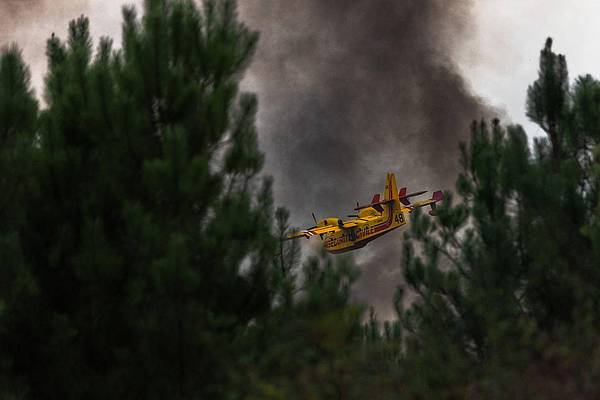 Paris |  France : bulletin météo forestière avertissant du risque incendie